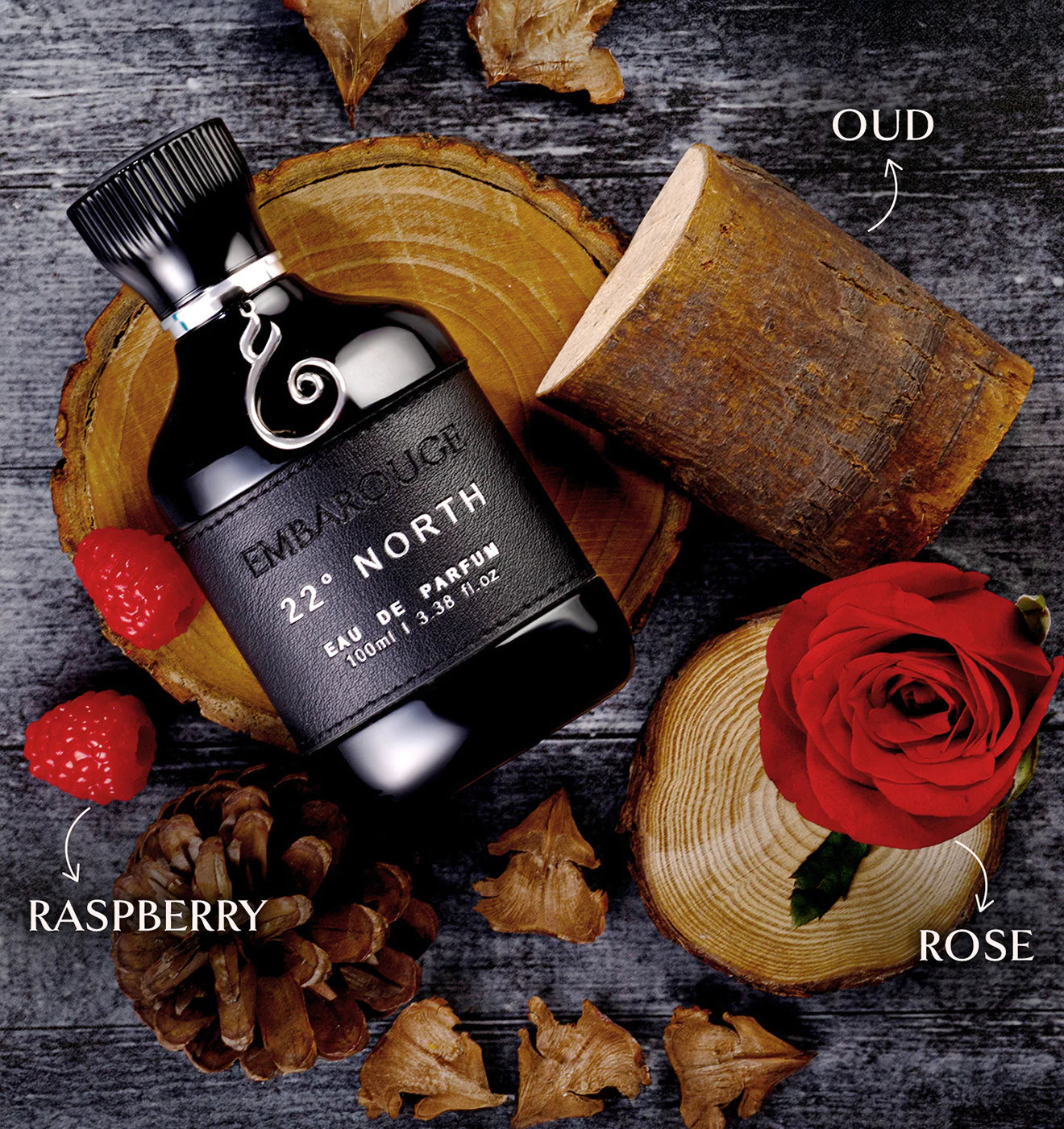 NORTH EAU DE PARFUM - 100ML